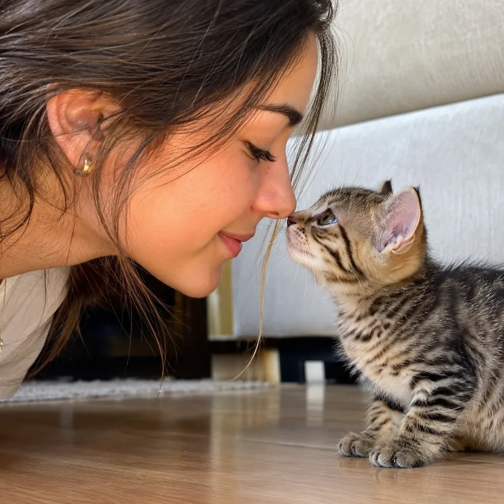 Mujer junto a un gato pequeño